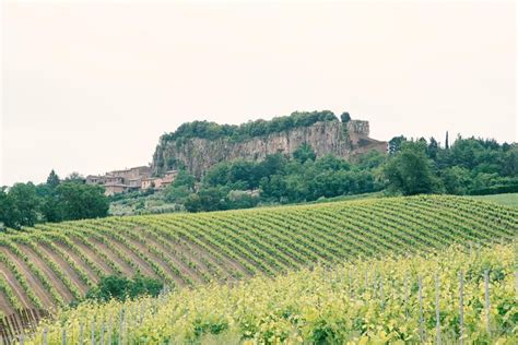 Orvieto Wine Tasting