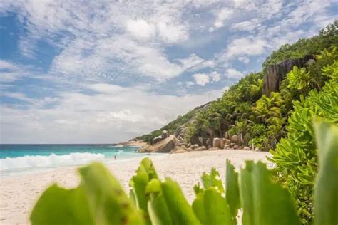 13 Most Beautiful Beaches in The Seychelles