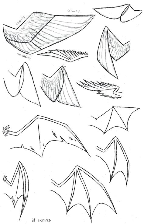 Wing Study by VibrantEchoes on DeviantArt | Sketches, Dragon drawing ...