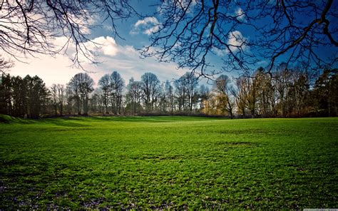 Beautiful Meadow wallpaper | 3840x2400 | #83674