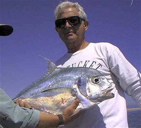 African Pompano fish pictures