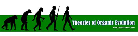 Theories of Organic Evolution Explains Origin of Life (2020)