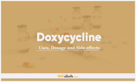 Doxycycline Dose For Dogs & Cats | Vet Drugs List