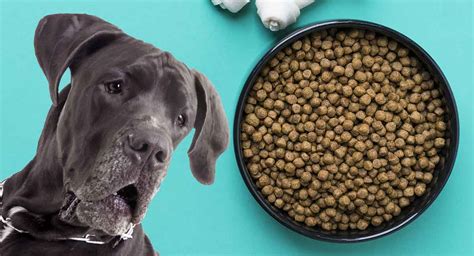 Best Dog Food For Great Danes And Other Large Breeds