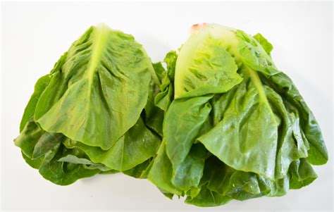 Baby Gem Lettuce