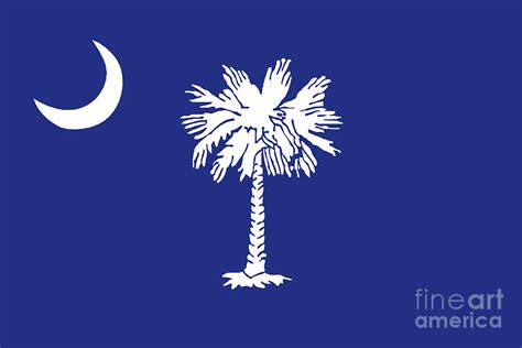 South Carolina State Flag Digital Art by Bigalbaloo Stock - Pixels