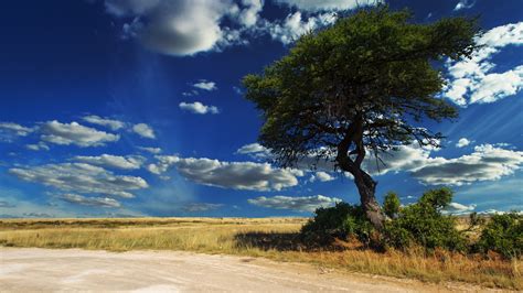 Worldisbeautiful.net | Etosha National Park (Namibia)