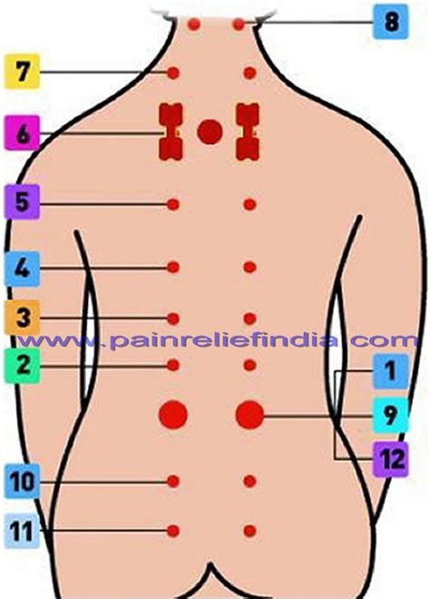 Printable Female Acupuncture Points Chart