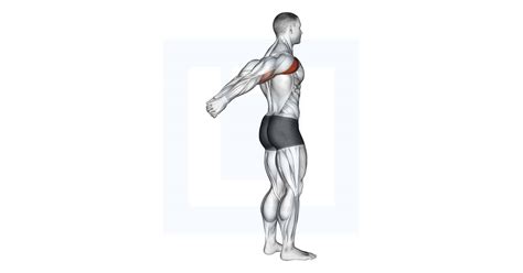 Standing Reverse Shoulder Stretch - Guide, Benefits, and Form