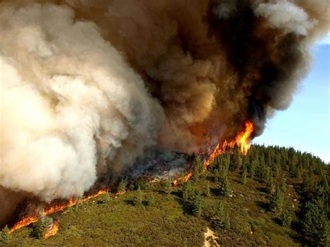 Zaca Fire, 2007 - Wildfire Today