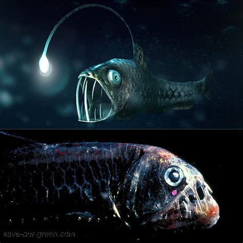 Viperfish - Save Our Green