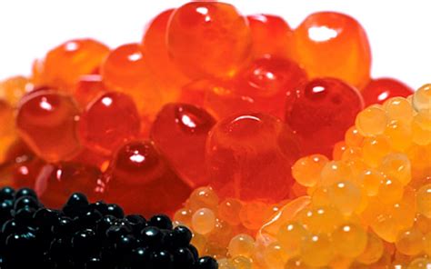 World's largest caviar factory opens... in desert - Lifestyle - Food - Emirates24|7