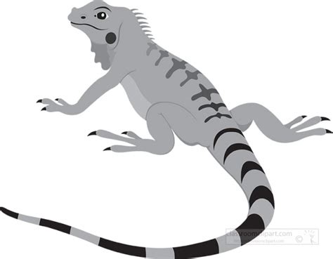 Animal Gray White Clipart-friendly orange iguana lizard reptile educational clip art graph