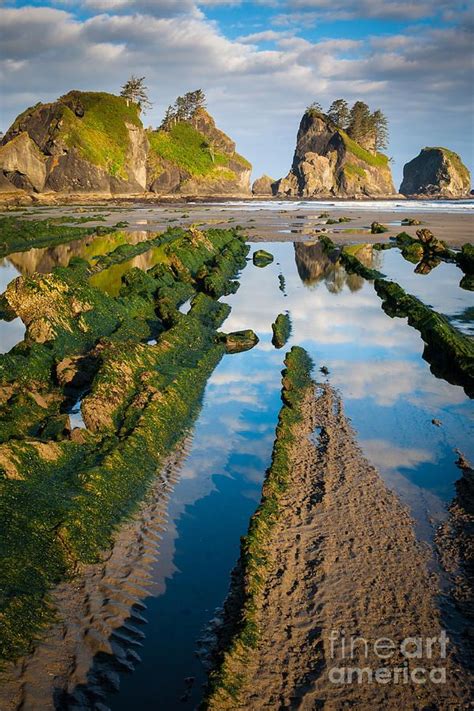 Low Tide At Point Of The Arches - Olympic National Park, WA | Parque ...