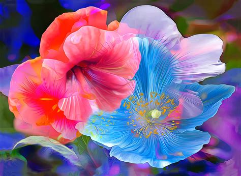 Download Colors Anemone Poppy Hibiscus Painting Artistic Flower HD ...