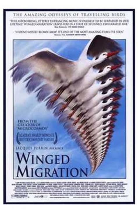 Winged Migration Movie Poster (11 x 17) - Item # MOV190765 - Posterazzi