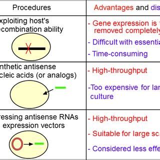 Comparison of two gene knockout methods a . | Download Table