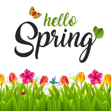 Hello Spring Hd Transparent, Beautiful Hello Spring, Spring, Green PNG ...