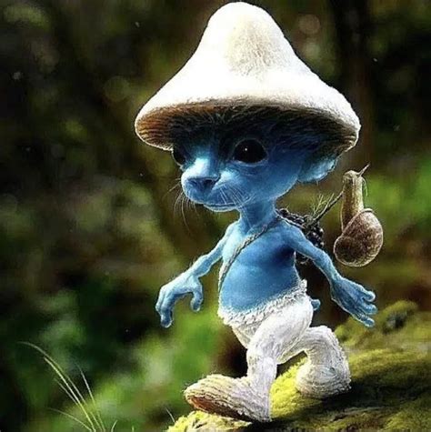 Trend Translator: WTF is this weirdly realistic Smurf cat? - The Big Smoke