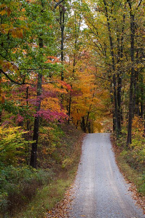 Fall in Southern Indiana Photograph by Melissa Wyatt - Fine Art America