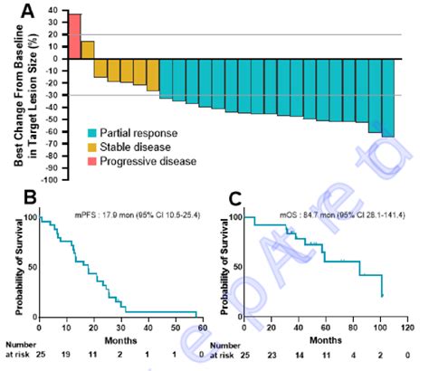 Efficacy results in all patients. (A) Waterfall plot of best percentage ...