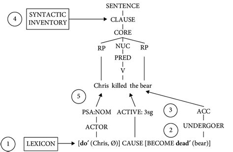 Linking from semantics to syntax in a simple English clause. | Download Scientific Diagram