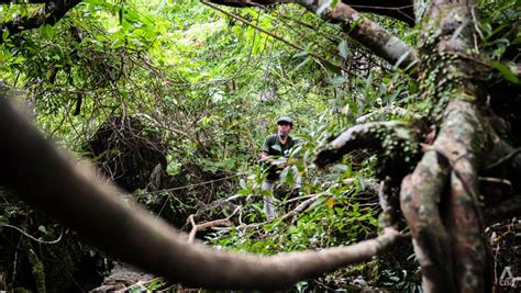 Sierra Madre range has been protecting Manila from the forces of nature, but how long can it ...