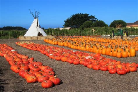 Farmer John's Pumpkin Farm