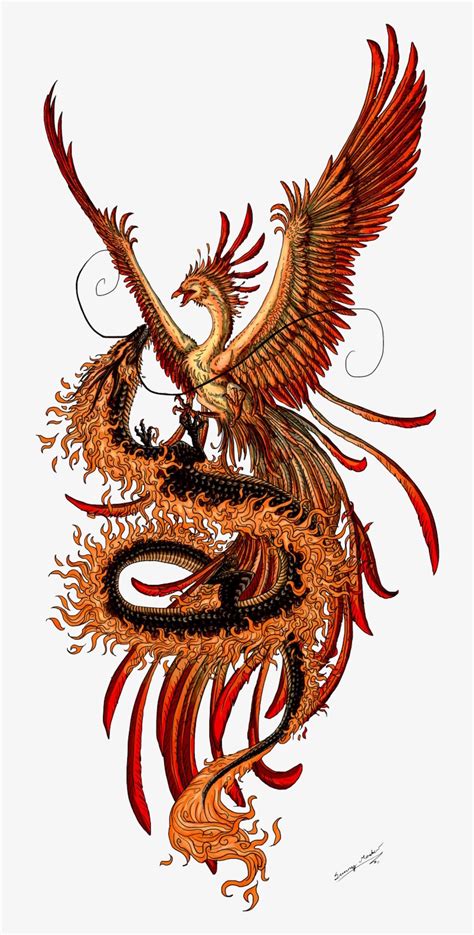 Phoenix Tattoos Png - Phoenix And Dragon Transparent PNG - 736x1588 ...