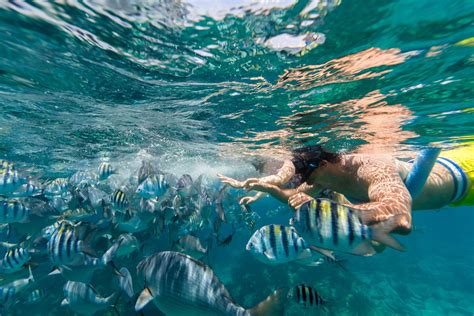 Where to Go Snorkeling in Bermuda | Celebrity Cruises