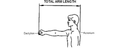 Arm Measurement