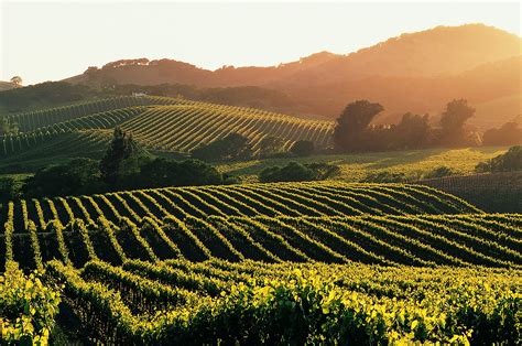 Napa Valley Wallpapers - Wallpaper Cave