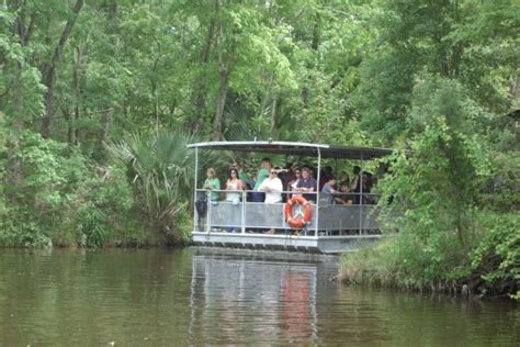 Jean Lafitte Swamp Tour | BigEasy.com