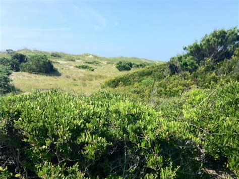 OCRACOKE ISLAND CAMPGROUND - Updated January 2025 - 4352 Irvin Garrish ...