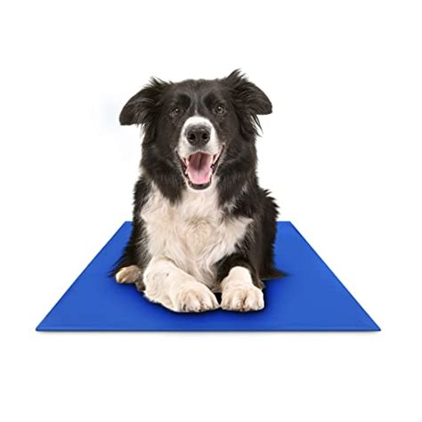 10 Best Dog Cooling Mat & Pads for Summer