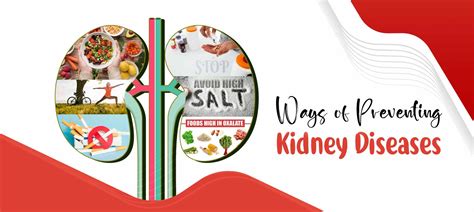 Ways of Preventing Kidney Diseases - Health Care | MedPlusMart