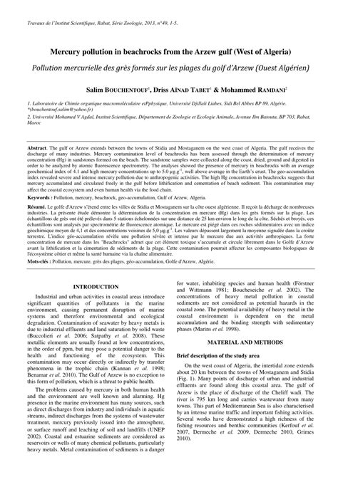 (PDF) Mercury pollution in beachrocks from the Arzew gulf (West of Algeria)