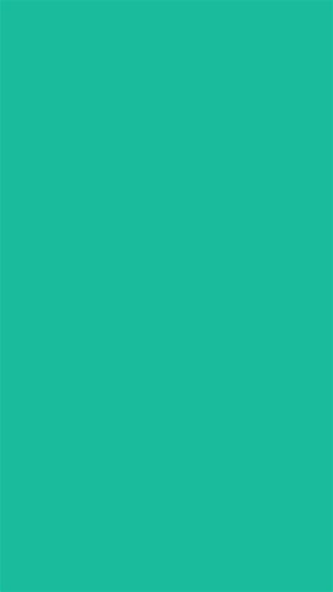 Warna Solid Wallpaper - Zaimura Gambar