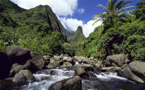 Iao Valley State Park Maui Hawaii Nature #9SJm | State parks, Hikes in maui, West maui