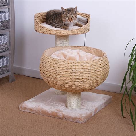 PetPals Eco Friendly Cat Tree | cat Furniture & Towers | PetSmart | Cat ...