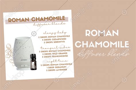 Roman Chamomile Diffuser Blends by Maile Viela