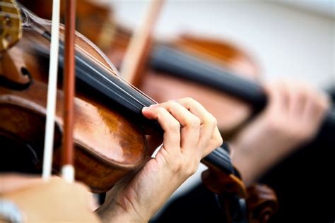 Genes as important as practice for developic musical ability, study ...