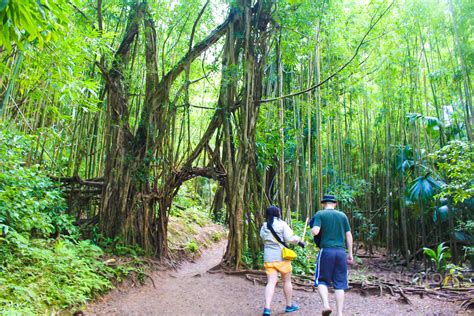 Manoa Falls, Oahu Hawaii | gastrofork | Vancouver food and travel blog