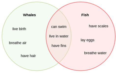 Venn Diagrams: Encouraging Students Compare and Contrast – The English Classroom