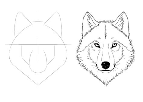 How To Draw A Wolf Nose Step By Step - Draw easy