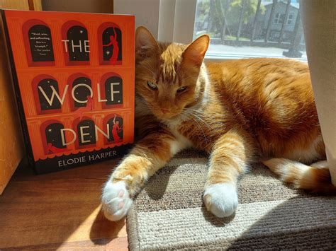 The Wolf Den by Elodie Harper – Bibliokitty