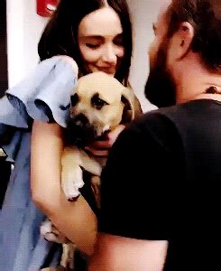 Crystal Reed and J.R. Bourne with a puppy - Howler Con 2016 gif Crystal Marie, Crystal Reed ...