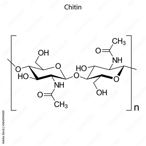 Chitin Skeletal formula of Chemical element Stock Vector | Adobe Stock