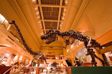 National Museum of Natural History | Viagem e Turismo