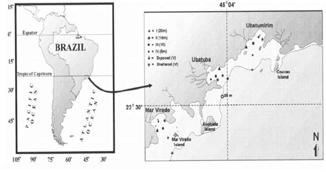 Map of the Ubatuba region with the indication of stations in each bay ...